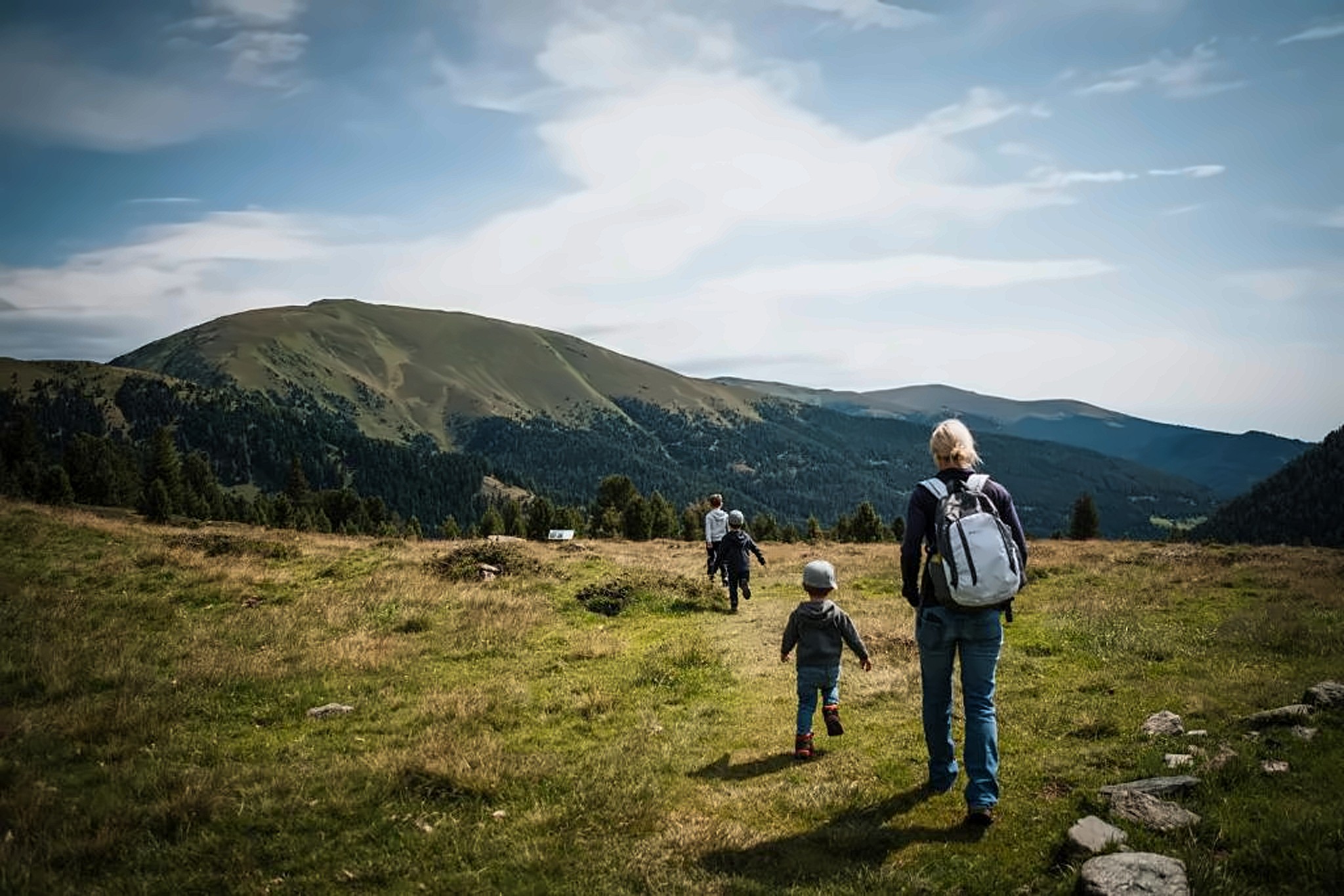 Wandernde in grüner Almlandschaft